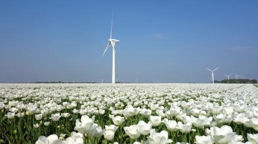 hvor meget energi producerer en vindmølle
